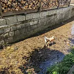 Daire Urlaubsmagie - Turmfalke - Garten Mit Terrasse & Saisonaler Pool