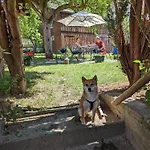Апартаменты Urlaubsmagie - Turmfalke - Garten Mit Terrasse & Saisonaler Pool Зебниц