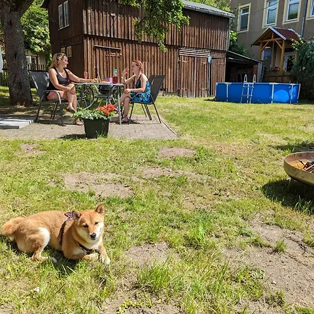 公寓 Urlaubsmagie - Turmfalke - Garten Mit Terrasse & Saisonaler Pool *
