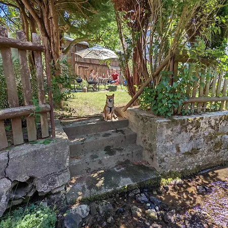 Urlaubsmagie - Turmfalke - Garten Mit Terrasse & Saisonaler Pool *