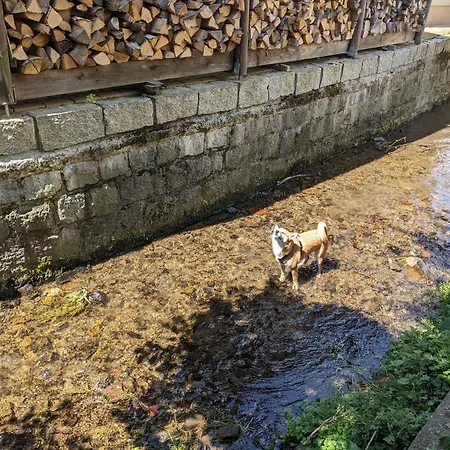 Apartamento H6 -urlaubsmagie- Fuer 3 Mit Pool & Terrasse