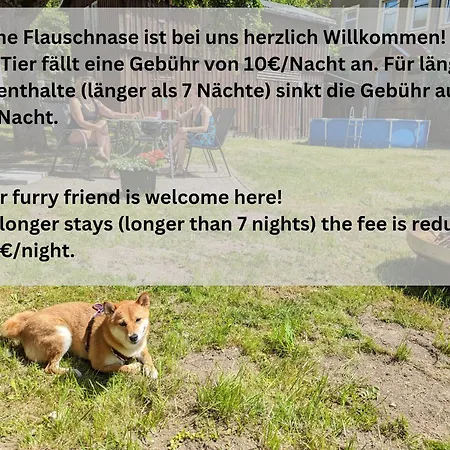 Urlaubsmagie - Turmfalke - Garten Mit Terrasse & Saisonaler Pool Апартаменты Зебниц