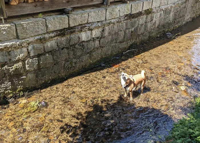 Appartamento H6 -urlaubsmagie- Fuer 3 Mit Pool & Terrasse