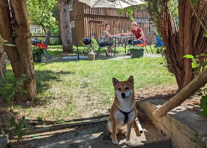 Appartamento H6 -urlaubsmagie- Fuer 3 Mit Pool & Terrasse Sebnitz