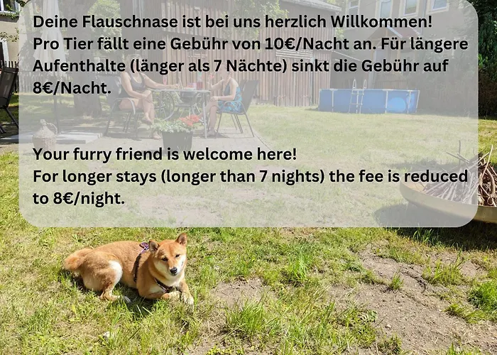 H6 -urlaubsmagie- Fuer 3 Mit Pool & Terrasse Appartamento Sebnitz